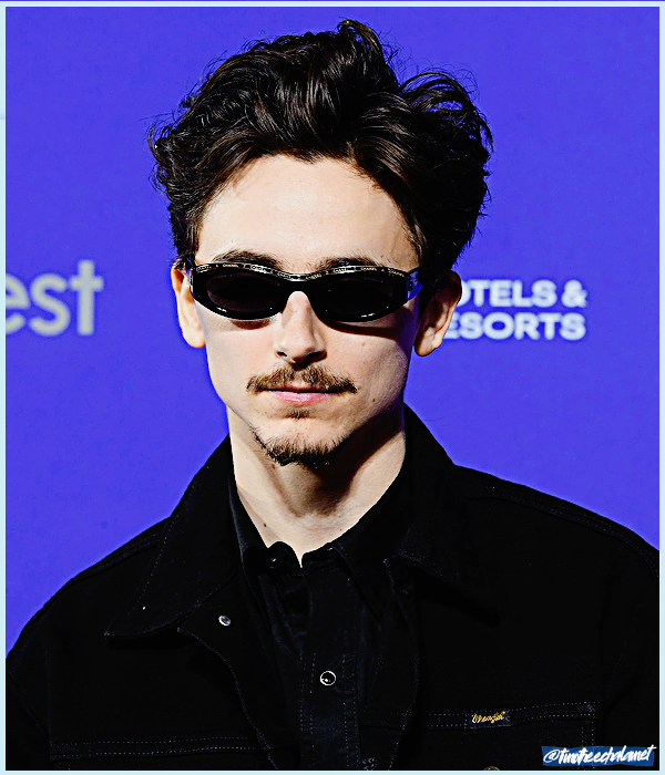 Foto de timotheechalamet