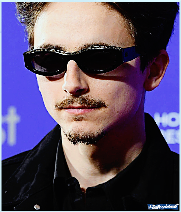 Foto de timotheechalamet