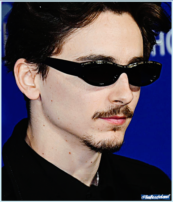 Foto de timotheechalamet