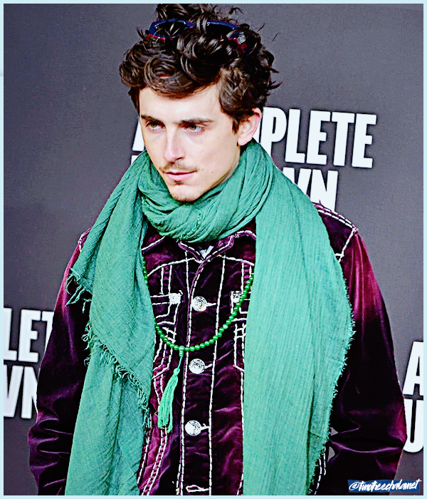 Foto de timotheechalamet