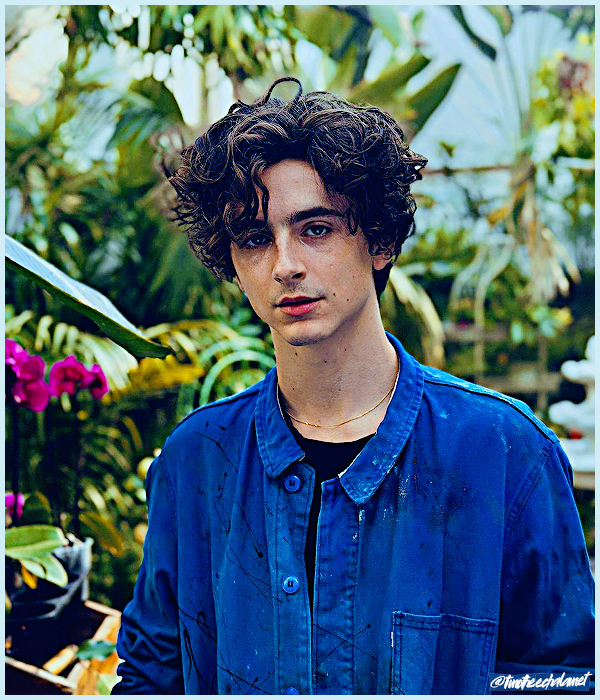 Foto de timotheechalamet