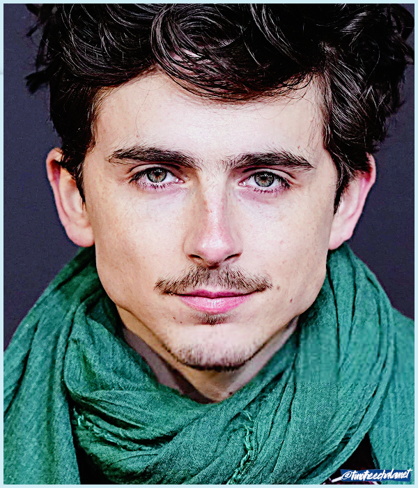 Foto de timotheechalamet