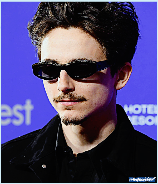 Foto de timotheechalamet