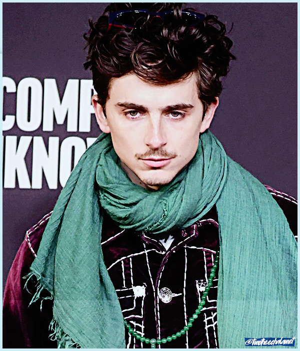 Foto de timotheechalamet