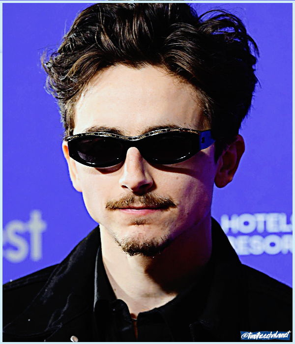 Foto de timotheechalamet