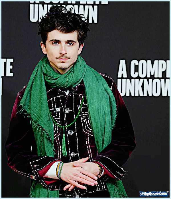 Foto de timotheechalamet