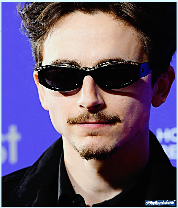 Foto de timotheechalamet