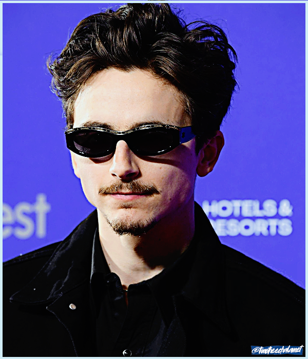 Foto de timotheechalamet