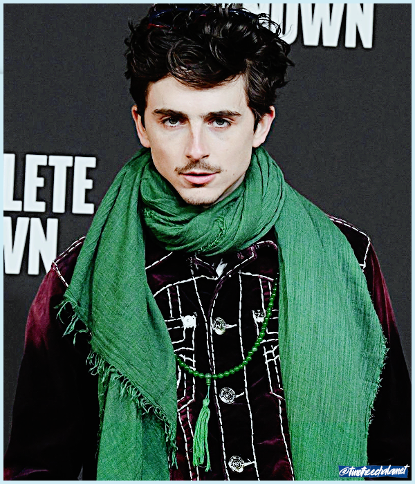 Foto de timotheechalamet