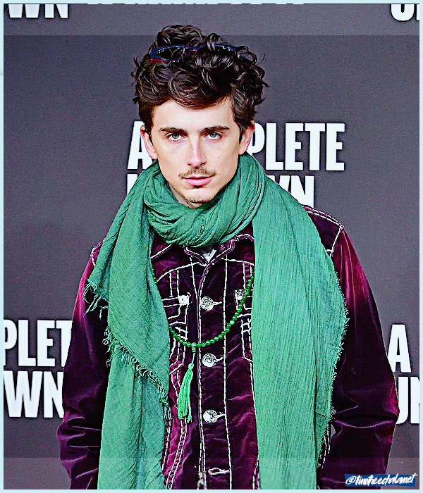 Foto de timotheechalamet