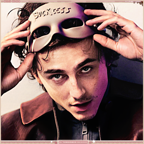 Foto de timotheechalamet