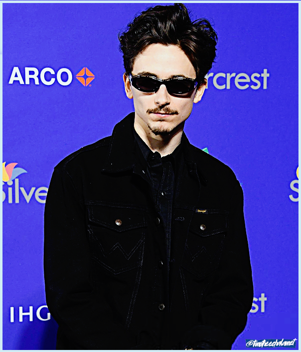 Foto de timotheechalamet