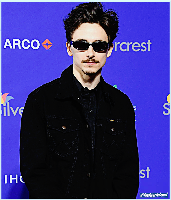 Foto de timotheechalamet