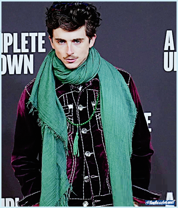 Foto de timotheechalamet