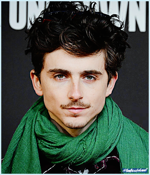 Foto de timotheechalamet