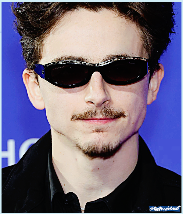 Foto de timotheechalamet