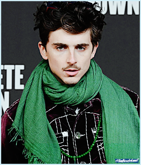 Foto de timotheechalamet