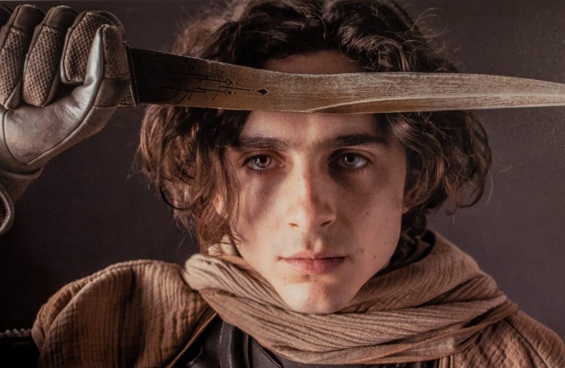 Foto de timotheechalamet