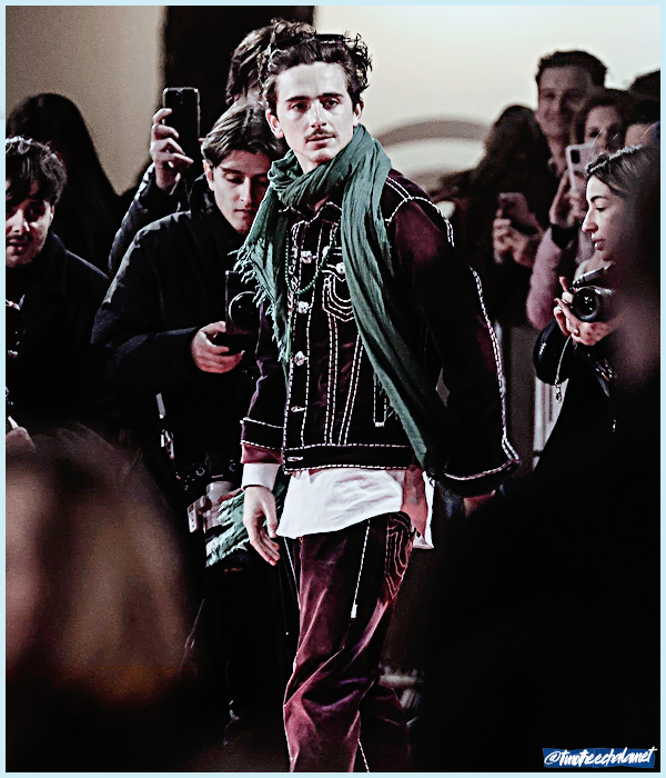 Foto de timotheechalamet