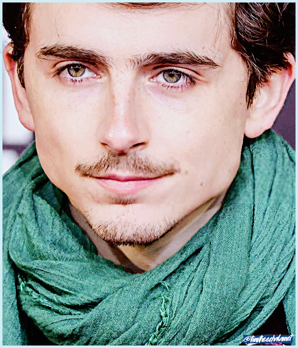 Foto de timotheechalamet