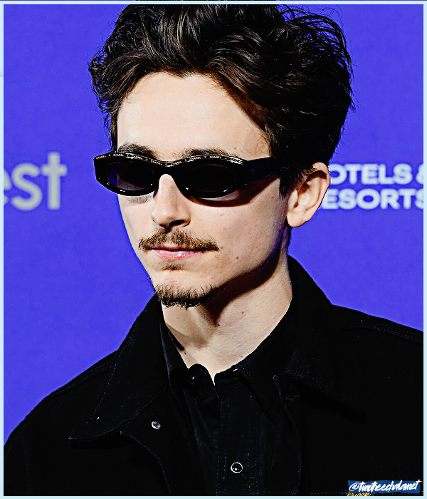 Foto de timotheechalamet