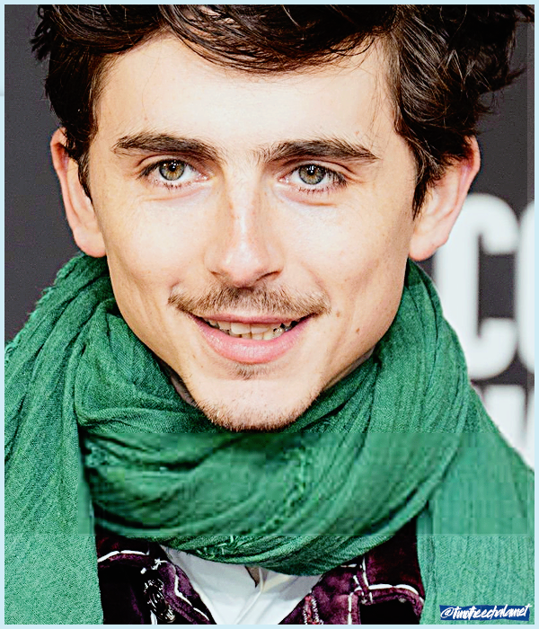 Foto de timotheechalamet