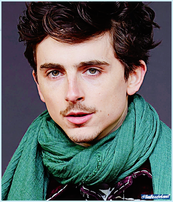 Foto de timotheechalamet