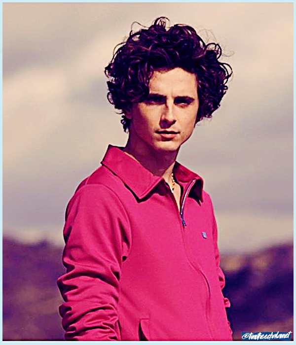 Foto de timotheechalamet