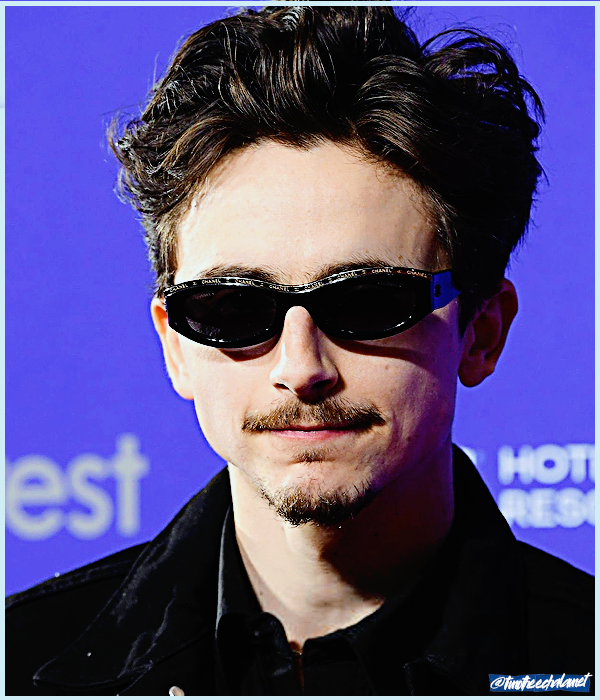 Foto de timotheechalamet