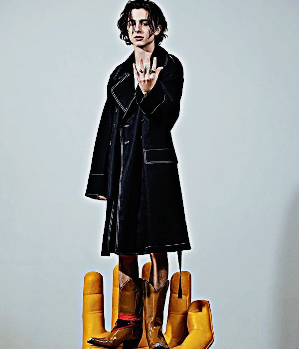 Foto de timotheechalamet