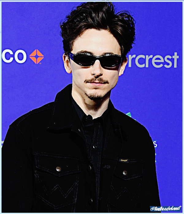 Foto de timotheechalamet