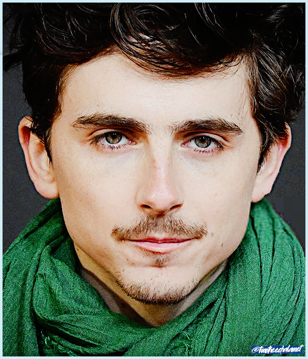 Foto de timotheechalamet