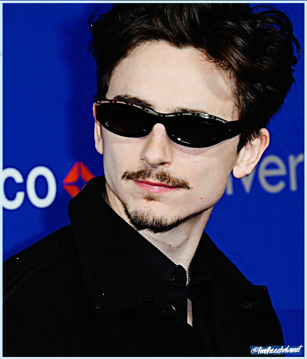 Foto de timotheechalamet