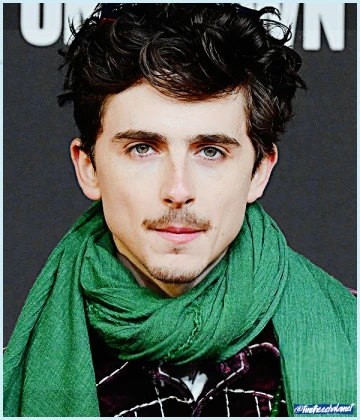 Imagem recente de timotheechalamet