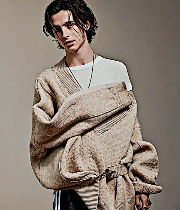 Imagem recente de timotheechalamet