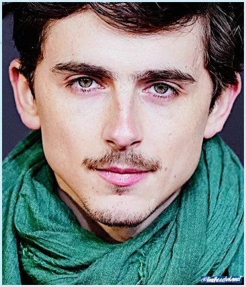 Imagem recente de timotheechalamet