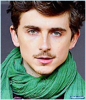 Imagem recente de timotheechalamet