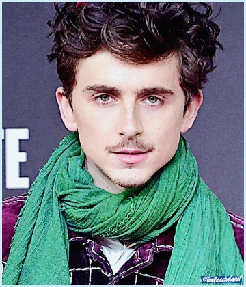 Imagem recente de timotheechalamet