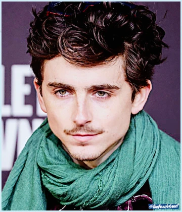 Imagem recente de timotheechalamet