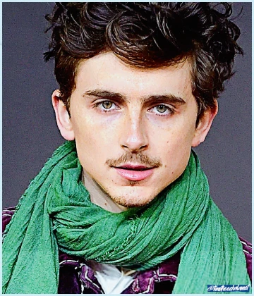 Imagem recente de timotheechalamet