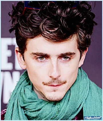 Imagem recente de timotheechalamet