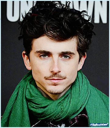 Imagem recente de timotheechalamet