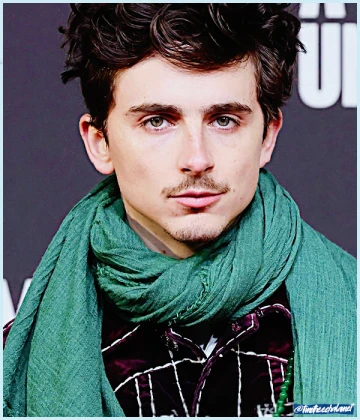 Imagem recente de timotheechalamet