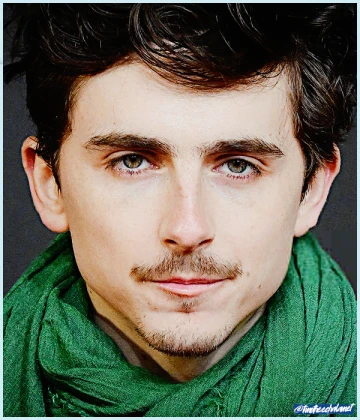 Imagem recente de timotheechalamet