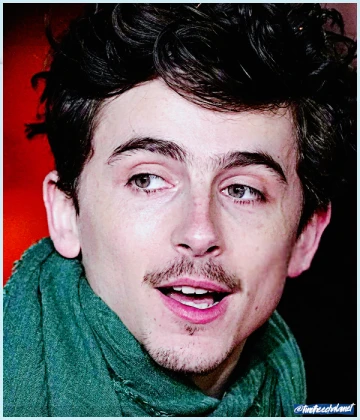 Imagem recente de timotheechalamet