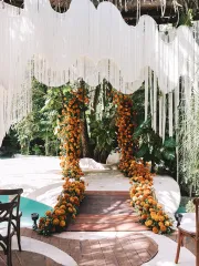 Imagem recente de vanessa